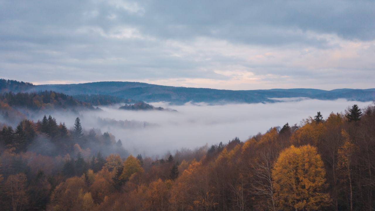 Warum es in Winterberg dreimal so viel regnet wie in Köln